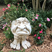 Afbeelding in Gallery-weergave laden, Grappige uitdrukking bloempot