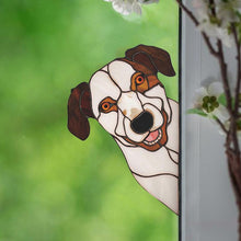 Afbeelding in Gallery-weergave laden, Grappige Dierendecoratie (Kat & Hond)