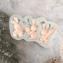Afbeelding in Gallery-weergave laden, 3D Easter Cookie Mold Baking Tools