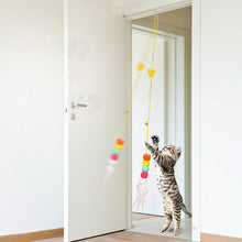 Afbeelding in Gallery-weergave laden, Hangend stuiterend katten speelgoed