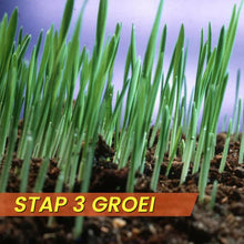 Afbeelding in Gallery-weergave laden, Biologisch afbreekbare graszaadmat