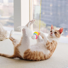 Afbeelding in Gallery-weergave laden, Hangend stuiterend katten speelgoed