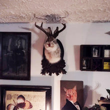 Afbeelding in Gallery-weergave laden, Kunstmatige jackalope taxidermie decoratie