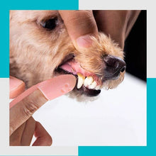 Afbeelding in Gallery-weergave laden, Professionele Hond En Kat Vingertandenborstel