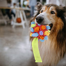 Afbeelding in Gallery-weergave laden, Honden kauw speeltje