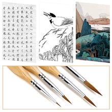 Afbeelding in Gallery-weergave laden, Fine Detail Penselen set (11 stuks)