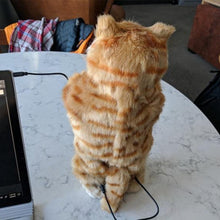 Afbeelding in Gallery-weergave laden, Simulatie kat pluche dansende kat speelgoed pop