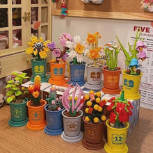 Afbeelding in Gallery-weergave laden, Koffiekopjes planten potblokken