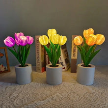 Afbeelding in Gallery-weergave laden, LED oplaadbaar tulp nachtlampje