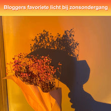 Afbeelding in Gallery-weergave laden, Projectie vloerlamp
