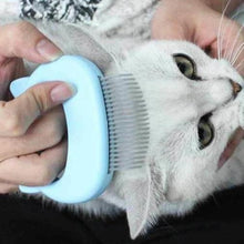 Afbeelding in Gallery-weergave laden, Massage & Trimplezier voor Kat
