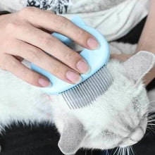 Afbeelding in Gallery-weergave laden, Massage & Trimplezier voor Kat