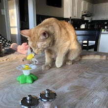 Afbeelding in Gallery-weergave laden, Interactief vogelspeelgoed voor katten