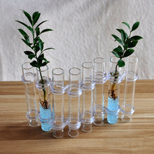 Afbeelding in Gallery-weergave laden, Hinged Flower Vase(6 pcs/8 pcs)