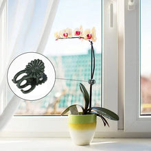 Afbeelding in Gallery-weergave laden, Clips voor planten