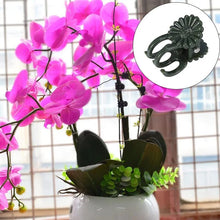 Afbeelding in Gallery-weergave laden, Clips voor planten