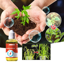 Afbeelding in Gallery-weergave laden, Plantengroeibevorderend supplement