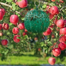 Afbeelding in Gallery-weergave laden, Opknoopbare Milieuvriendelijke Fruitvlieg Kleefvallen