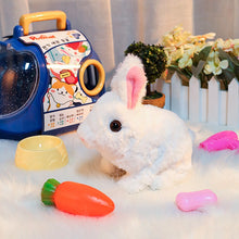 Afbeelding in Gallery-weergave laden, Bunny Toys Educatief interactief speelgoed