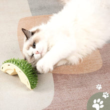 Afbeelding in Gallery-weergave laden, Durian Pet krab- en ontharingsspeeltje