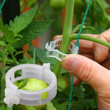 Afbeelding in Gallery-weergave laden, Ondersteuningsclips voor planten