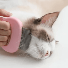 Afbeelding in Gallery-weergave laden, Massage & Trimplezier voor Kat