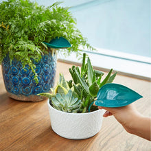 Afbeelding in Gallery-weergave laden, Funny Watering Leaves (6pcs)