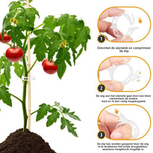 Afbeelding in Gallery-weergave laden, Ondersteuningsclips voor planten
