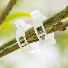 Afbeelding in Gallery-weergave laden, Ondersteuningsclips voor planten