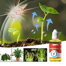 Afbeelding in Gallery-weergave laden, Plantengroeibevorderend supplement