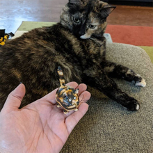 Afbeelding in Gallery-weergave laden, Kitty Miniatuur Sculptuur