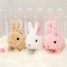 Afbeelding in Gallery-weergave laden, Bunny Toys Educatief interactief speelgoed