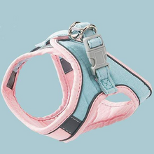 Afbeelding in Gallery-weergave laden, Set met harnas en riem voor kattenvest