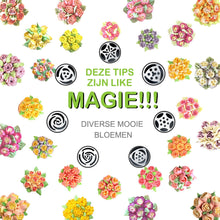 Afbeelding in Gallery-weergave laden, RVS tuitset (13 stuks) voor cupcakes en taartdecoratie actie
