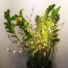 Afbeelding in Gallery-weergave laden, LED Decoratief Takje Licht