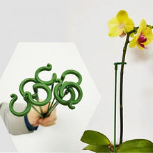 Afbeelding in Gallery-weergave laden, Ondersteunings inzet voor planten