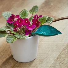 Afbeelding in Gallery-weergave laden, Funny Watering Leaves (6pcs)