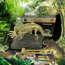 Afbeelding in Gallery-weergave laden, DIY archeologische mijnbouw dinosaurus fossiele speelgoed