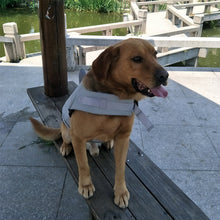 Afbeelding in Gallery-weergave laden, Dog Swimming Safe Jacket