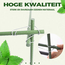 Afbeelding in Gallery-weergave laden, Plant verbindende gespen