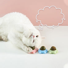 Afbeelding in Gallery-weergave laden, Katten knip muur Bal eetbaar katten speelgoed