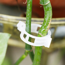 Afbeelding in Gallery-weergave laden, Ondersteuningsclips voor planten