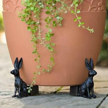 Afbeelding in Gallery-weergave laden, Schattige Potje Voeten in Dierenvorm (Set van 3)