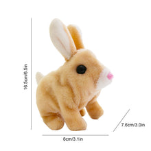 Afbeelding in Gallery-weergave laden, Bunny Toys Educatief interactief speelgoed