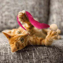 Afbeelding in Gallery-weergave laden, Wiggly Kattenspeelgoed met Bellen