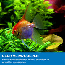 Afbeelding in Gallery-weergave laden, Aquarium zuiverend poeder