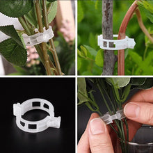 Afbeelding in Gallery-weergave laden, Ondersteuningsclips voor planten