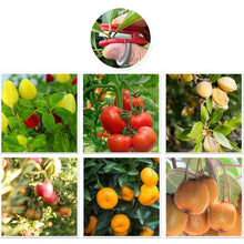 Afbeelding in Gallery-weergave laden, Tuin Plukker Ring apparaat