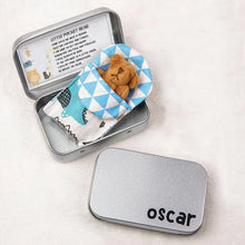 Afbeelding in Gallery-weergave laden, Teddy Bear in a Tin Box
