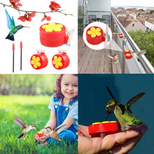 Afbeelding in Gallery-weergave laden, Flower Bar Hummingbird voeder